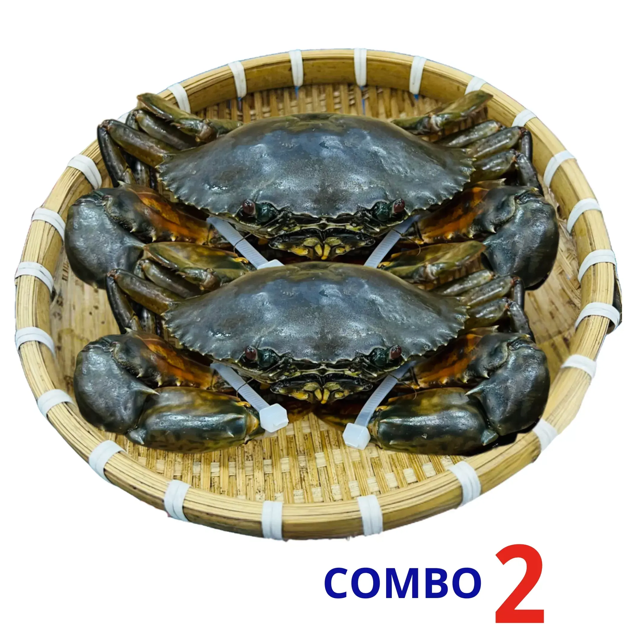 Combo Cua gạch Cà mau